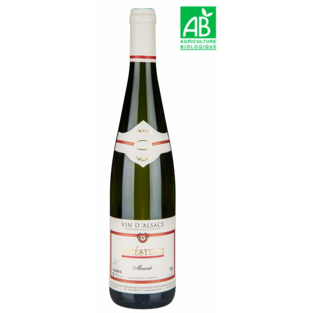 Aimé Stentz - Muscat 2023 